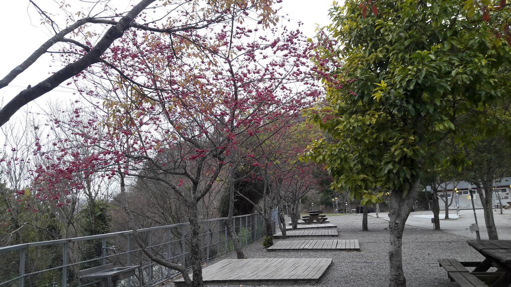 Qing Jing Xiao Taiyang Jingguan Homestay Renai Exteriör bild
