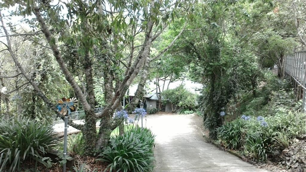 Qing Jing Xiao Taiyang Jingguan Homestay Renai Exteriör bild